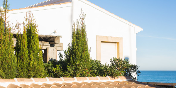 Inversores, Intermediarios, Agentes y Brokers Inmobiliarios en Zaragoza · Casas de Playa